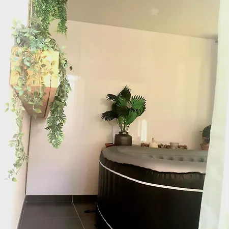 Duplex Avec Jacuzzi *